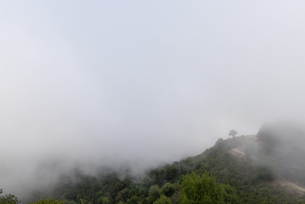 Hiking in fog